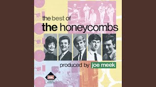 Video thumbnail of "The Honeycombs - Is It Because"