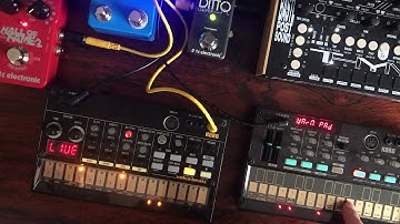 Korg volca FM + Beats + Bastl Thyme + Count to Five + Hall of Fame 2 + Ditto