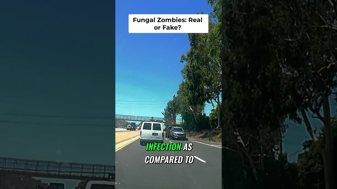 Helicopter Overuse & Zombie Fungus: Movie Logic Breakdown!