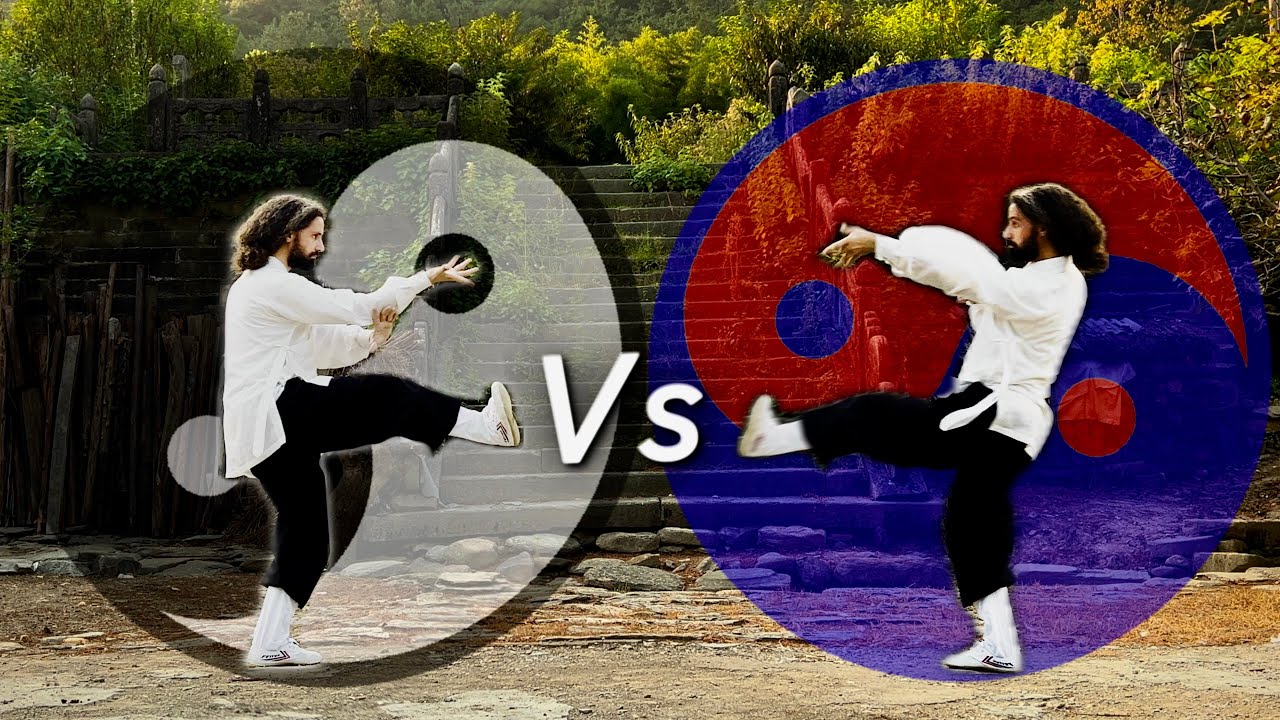 The difference between TAIJIQUAN and LIANGYIQUAN ☯︎ Wudang Kungfu | Xuanwupai 18 Movements Form
