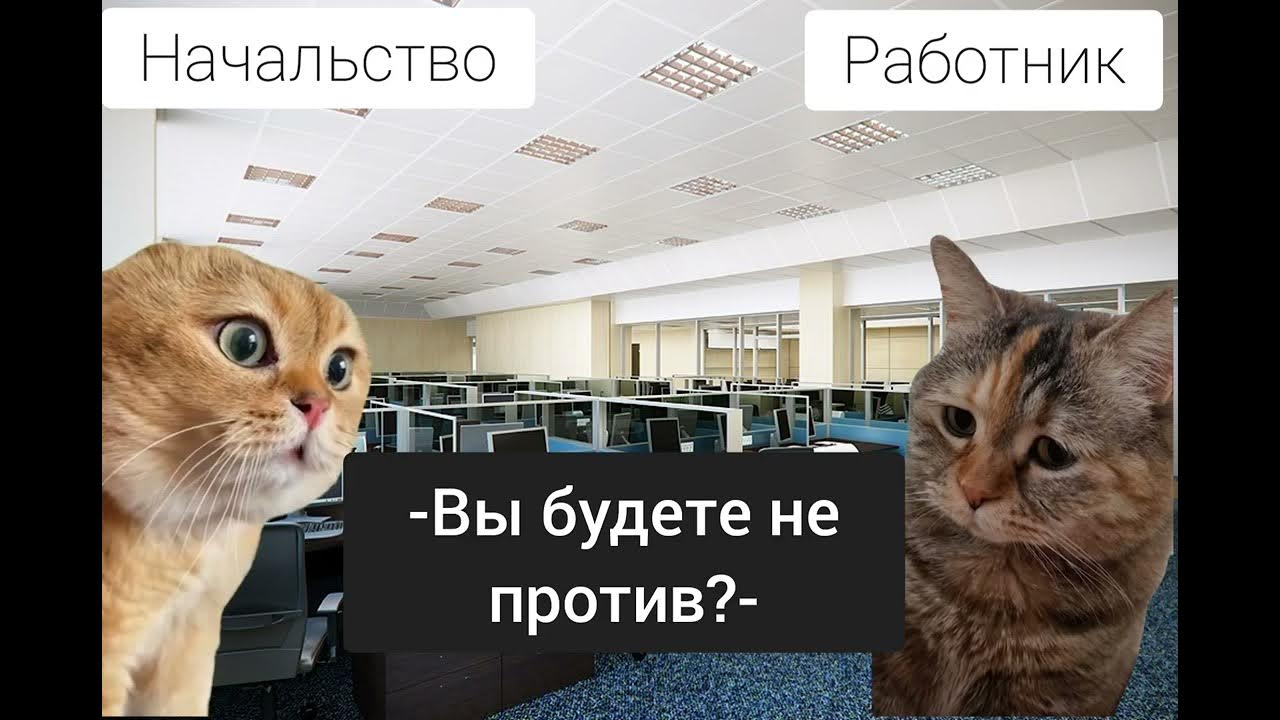 Pet Peeves - Office Edition - YouTube
