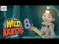 Wild Kratts 🌿🐊 Explore the Everglades! | Kids Videos