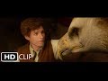 Inside the briefcase  fantastic beasts and where to find them