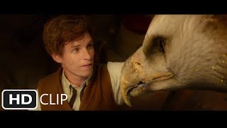 Fantastic Beasts and Where to Find Them: Mythical Ecology thumbnail