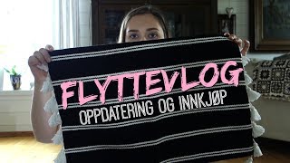 FLYTTEVLOG #2: Oppdatering og innkjøp | Naruna