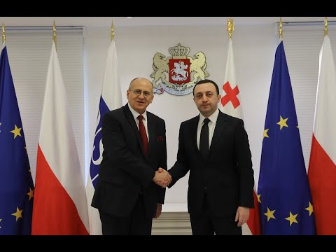 შეხვედრა პოლონეთის საგარეო საქმეთა მინისტრთან