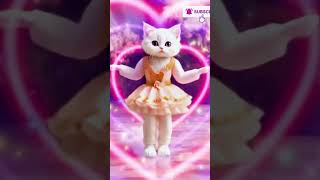 Download Lagu Cutest cat APT APT moves😺😍#catdance #dance #apt #rosé #funny #youtubeshorts #ytshortsapt #catlovers MP3 Download Lagu Cutest cat APT APT moves😺😍#catdance #dance #apt #rosé #funny #youtubeshorts #ytshortsapt #catlovers MP3