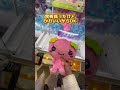 これで生きていくよ#クレーンゲーム攻略 #クレゲ #クレーンゲーム #お菓子 #ぬいぐるみ #確率無視 #三本爪