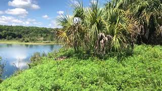 Green Swamp Hampton Tract bike n’ hike