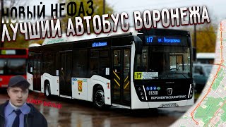 Новый НефАЗ, срач с водителем и поездка на маршруте т17 в Воронеже 11 ноября 2022