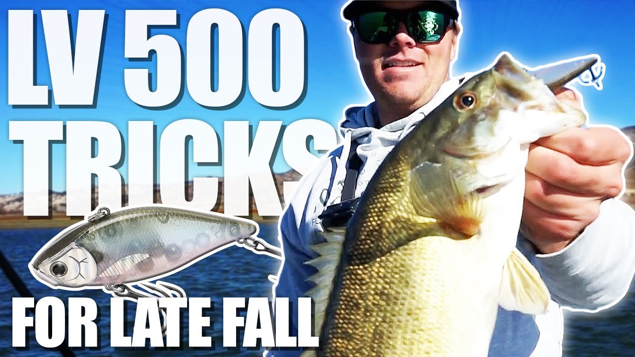 Fall Feed】LV 500 Tricks for Late Fall Lake Berryessa【Lipless Crank】 