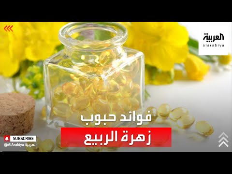 فيديو: لماذا الكلاب إخفاء طعامهم؟