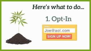 Dispensary Experts Guide