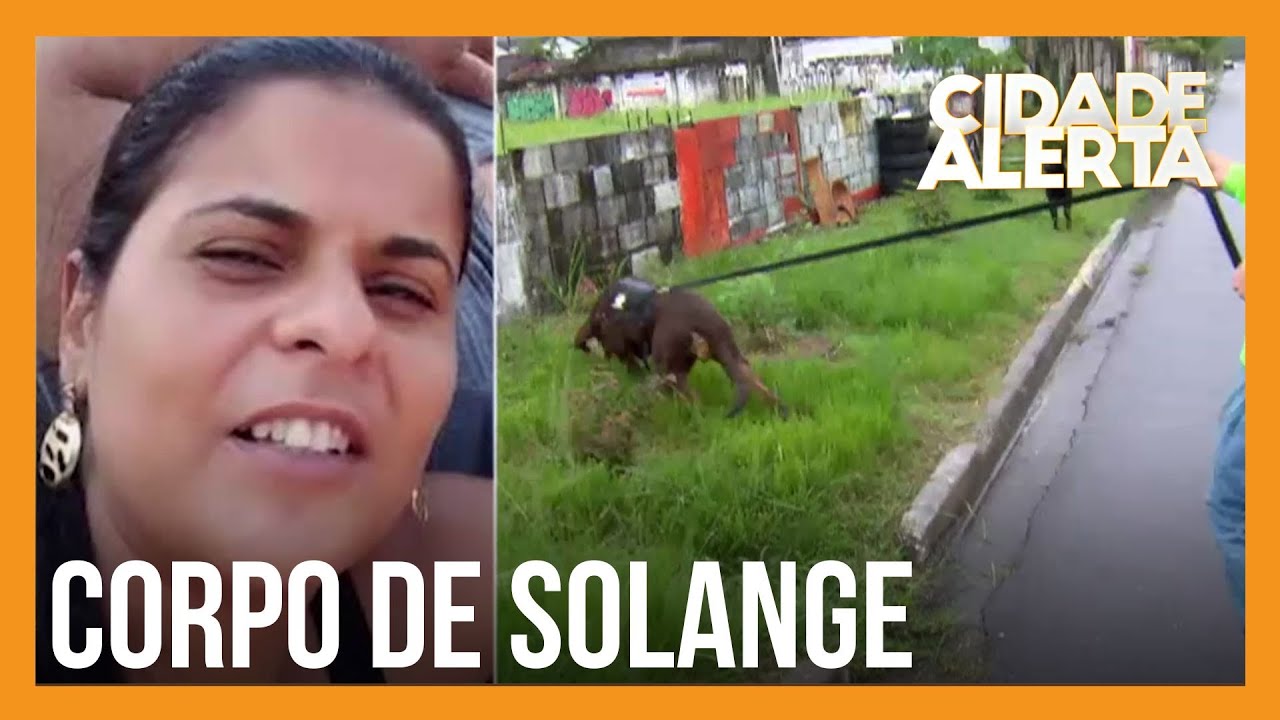 Caso Solange: corpo de diarista desaparecida é encontrado em Praia Grande (SP)