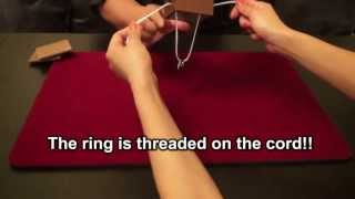 Amazring by Viking Magic / SEO MAGIC