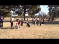 Group Dog Training Meet and Greet Exercise Group Dog Training Meet and Greet Exercise