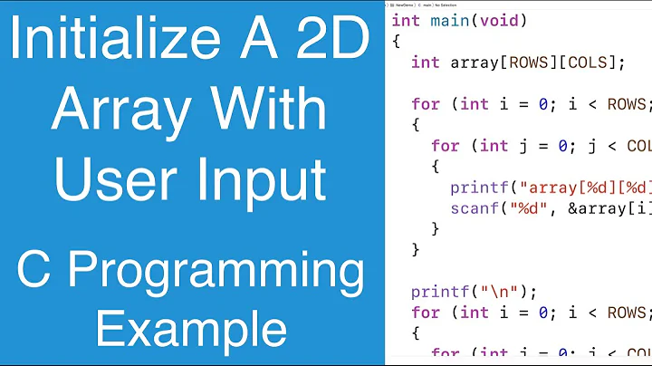 Initialize A 2D Array With User Input | C Programming Example