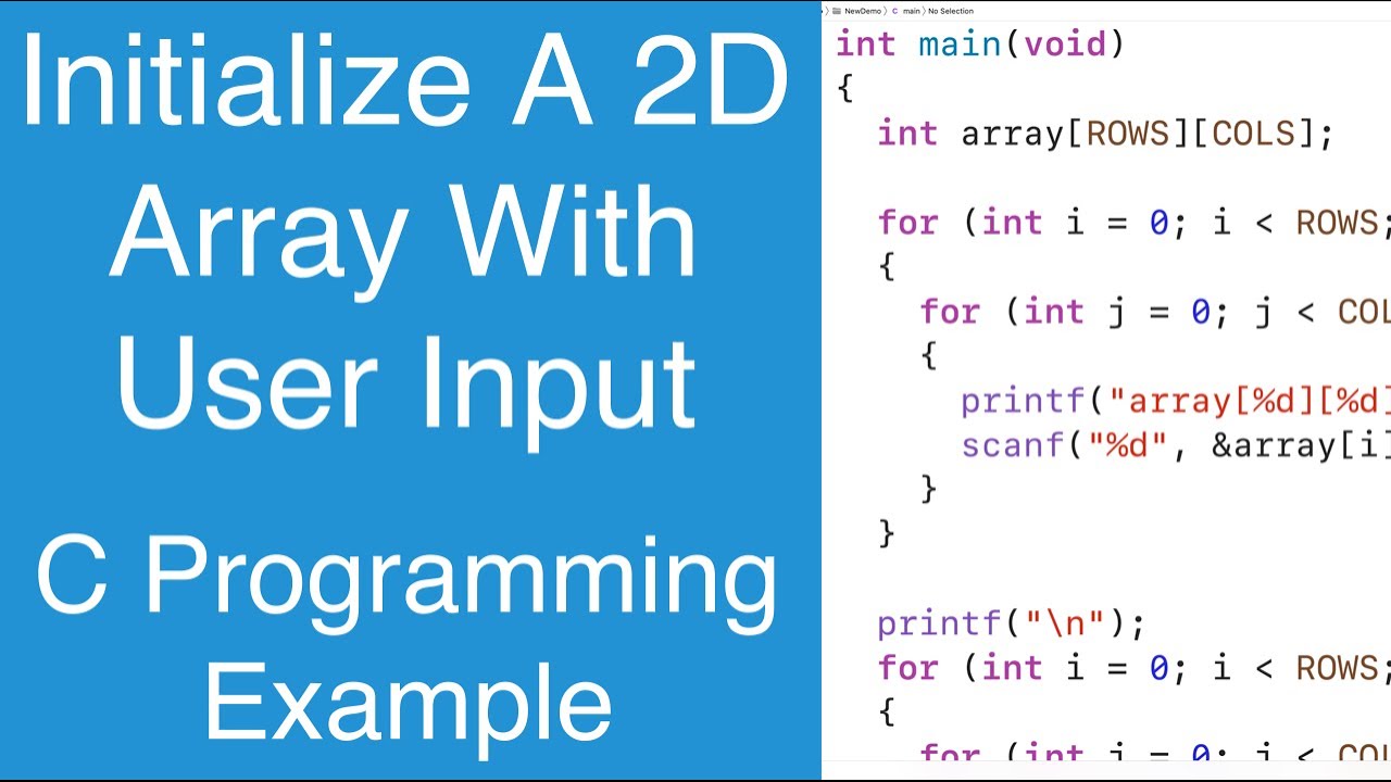 Initialize A 2D Array With User Input | C Programming Example