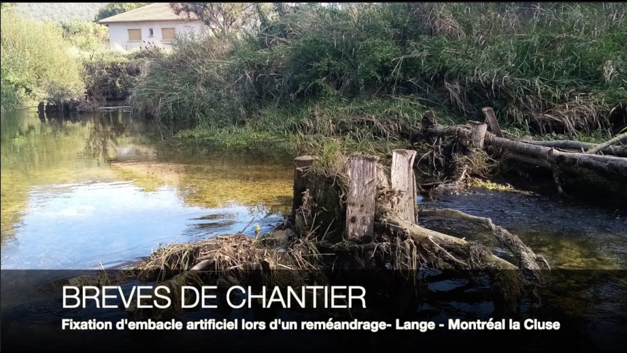 Fixation d’embâcles artificiels lors d'un reméandrage en ville