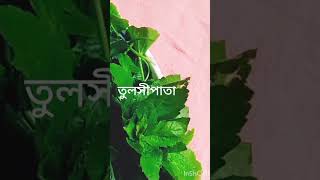#bangladesh #noakhali #herbs #greenjuicerecipe #healthyfood #immunitybooster screenshot 5