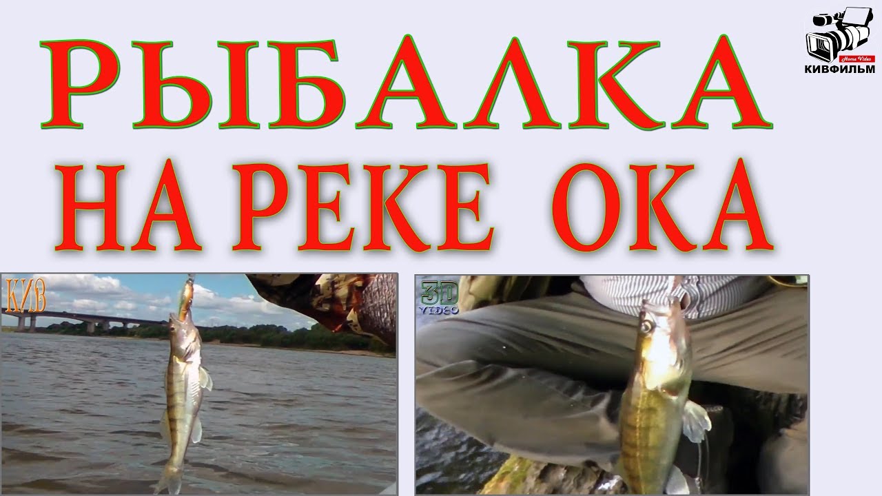 Рыбы Ока Фото