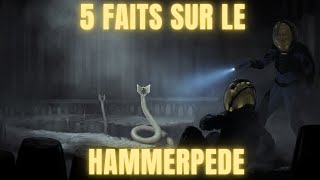 5 FAITS SUR LE HAMMERPEDE