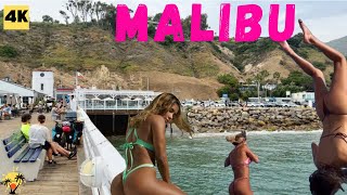 🌊🎡🌴Malibu Magic: Exploring the Beach, Pier, and Downtown Delights