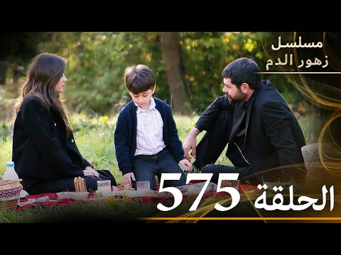 الحلقة 575 مسلسل زهور الدم مدبلج بالعربية   الجزء الثالث