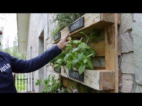 Video: Información sobre paredes de hierbas hechas a mano: consejos para hacer maceteros verticales para jardines de hierbas