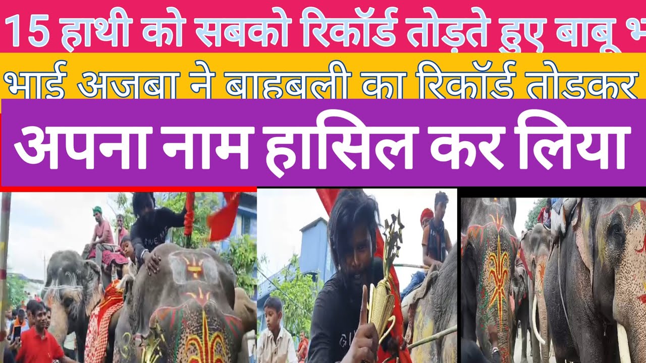 15 हाथी को सबको रिकॉर्ड तोड़ते हुए बाबू भाई अजूबा ने बाहुबली का रिकॉर्ड तोड़कर अपना नाम हासिल कर लिय