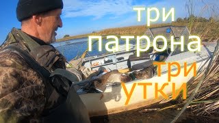 ОХОТА на УТКУ.  ТРИ ПАТРОНА  ТРИ УТКИ.