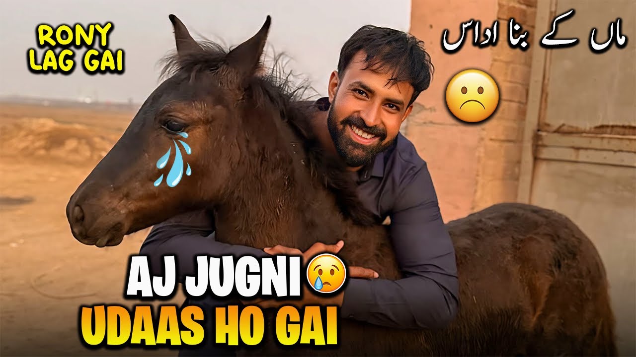 Jugni Apni Ami ki Waja se Udaas Ho Gai 😢 | آج کا دن کیسا گزرا ؟؟