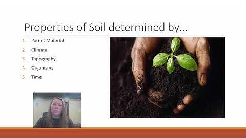 AP Env Sci Topic 4.3 Soil Composition and Properties