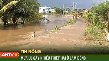 Lâm Đồng thiệt hại nặng nề do mưa lũ kéo dài | ANTV