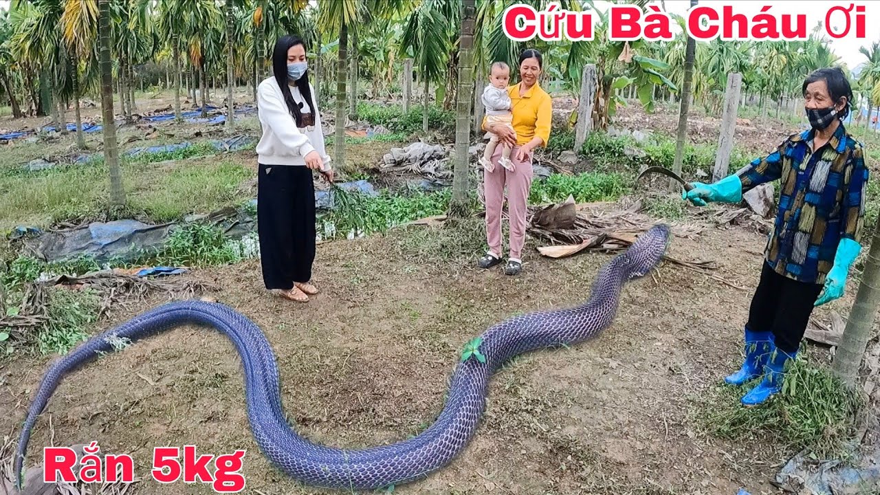 80-летняя женщина позвонила в службу экстренной помощи после того, как обнаружила двухметровую ко...