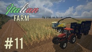 Italian Farm - Trinciato con New Holland G240 & Zorzi #11