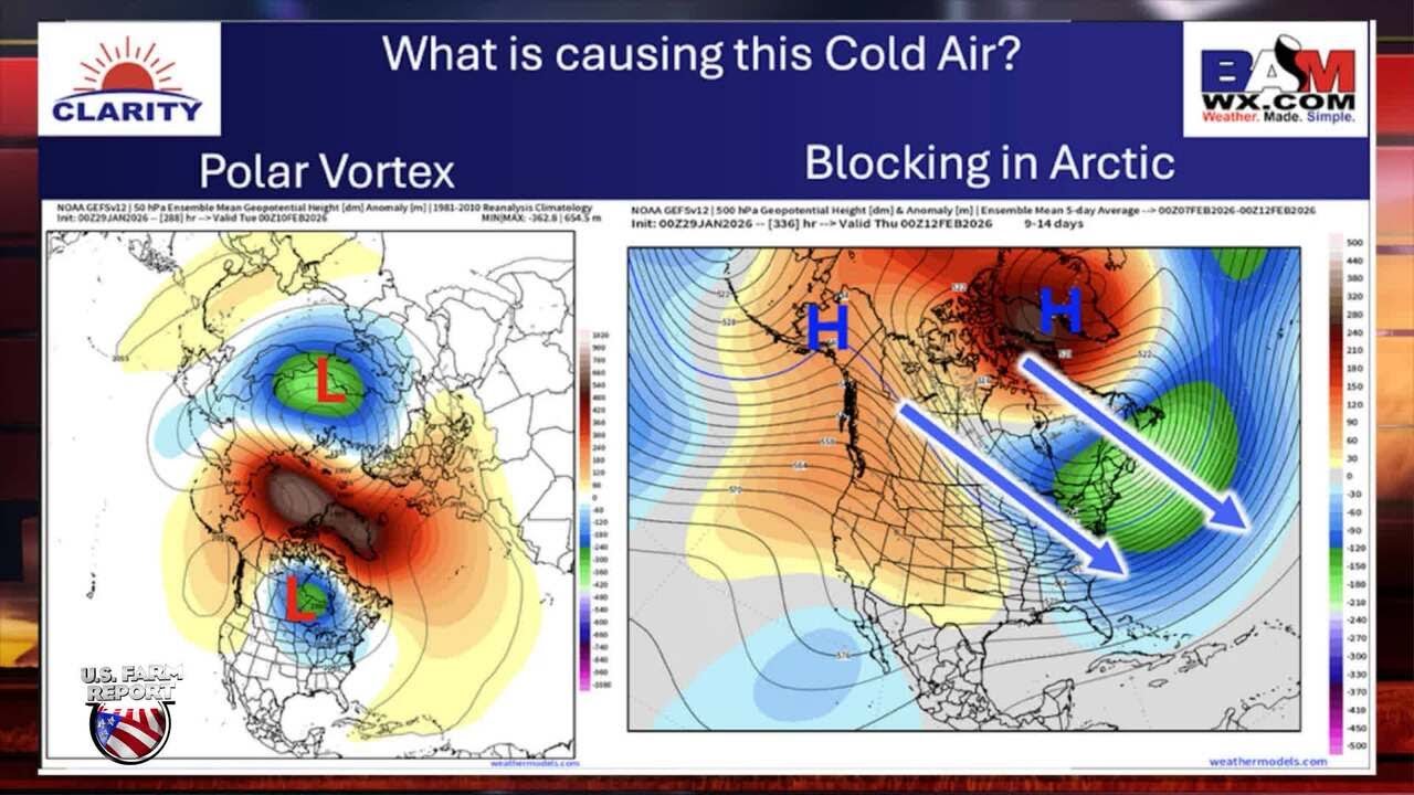 Why This Arctic Blast Is So Brutal, and Could February Bring More?