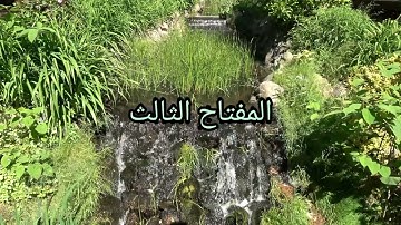 سورة الاستجابة؟! سوره يستجاب بها الدعاء إذا أغلقت الأبواب