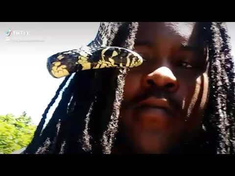 reptile lovers live with 80 snakes Unconditional Love!