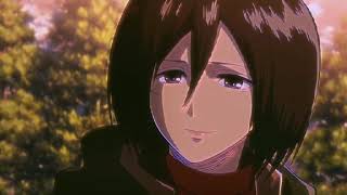 Mikasa EDIT - Arizona zervas -FML