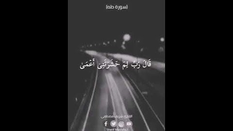 حالات واتس قرآن بصوت القارئ شريف مصطفى أروع حالات واتس مقطع قصير أتحداك ماتسويها حاله لك الآن.