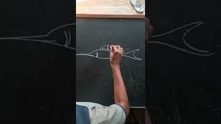 How to draw a fish#swordfish#art#artist#easy#painting#artwork#short#blackboard#sealife#drawing#bw