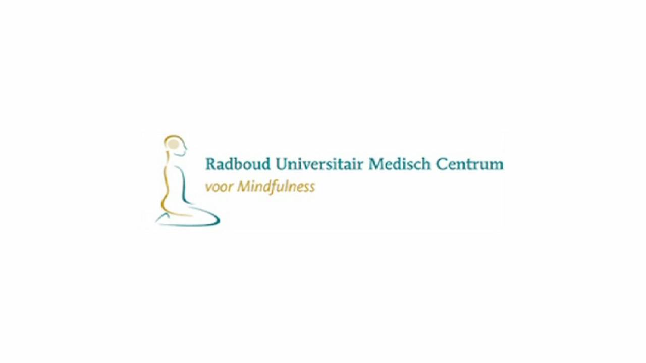 Bewegen in aandacht zitten - Renée Metzemakers