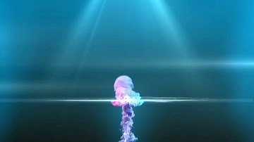 Tranh Cá 3D sống động