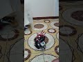 Lusignan-Good Hope Learning Center Robot Submission
