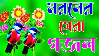 মন প্রাণ উজাড় করা কন্ঠে খুবই দুঃখের গজল  Bangla Gojol new gazal Islamic Gojol সেরা গজল ইসলামিক গজল