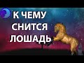 К чему снится Лошадь? Лошадь во сне 😴 Сонник 😴 Толкование снов 😴