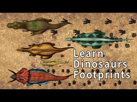 What kind of dinosaur footprint? |어떤 공룡의 발자국일까요? |티라노사우루스,스테고사우루스,트리케라톱스, 공룡발자국|공룡이름| dinosaur name