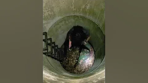 Julie goes down a well!