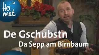 De Gschubstn: Da Sepp am Birnbaum | Brettl-Spitzen XVII | BR Heimat